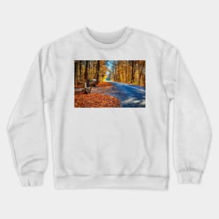 Fall Road 4 Crewneck Sweatshirt